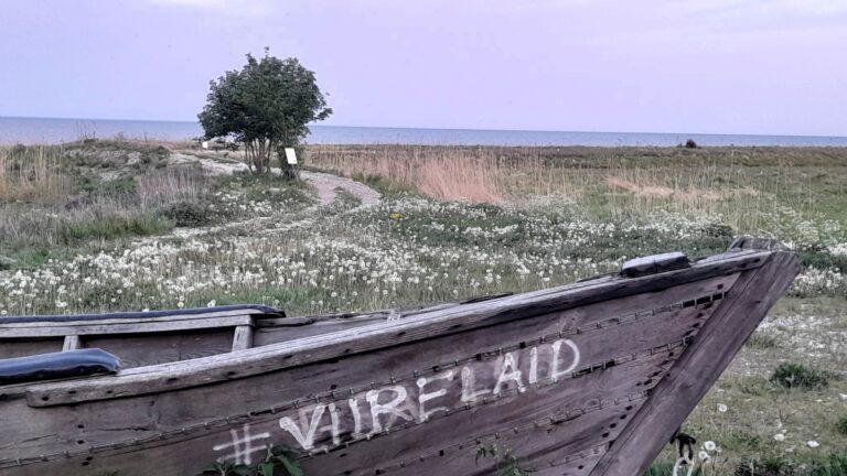 Viirelaid