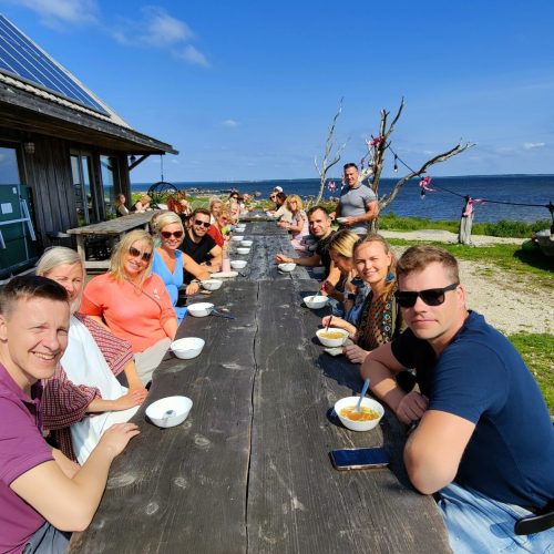 Viirelaid mastermind - lõunasöögi aeg